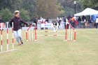 IMG_9179